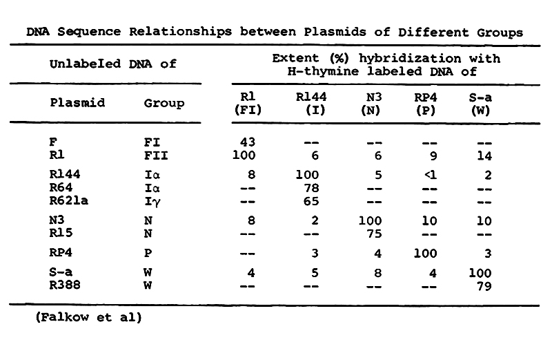 IMGL_00057 DNA-Plasmid Relationships